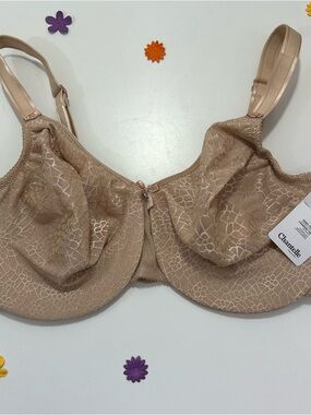 Chantelle Nude Full Figure Unpadded Underwire Bra 38G NWT